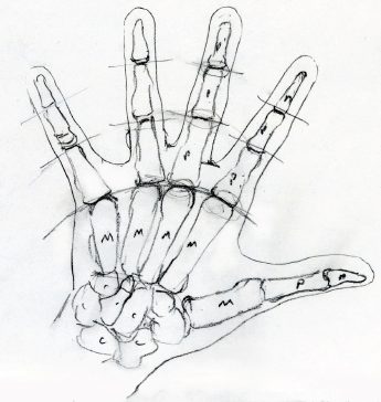 hand-4